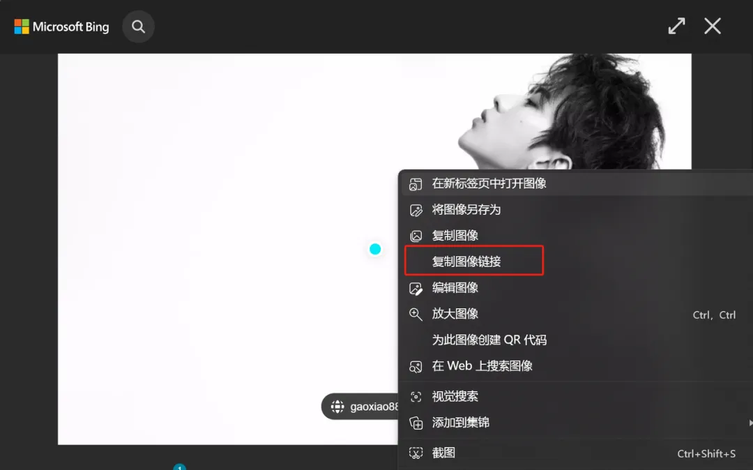 Image Link Example